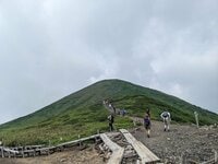 秋田の名峰「秋田駒ヶ岳」 8合目から約1時間半で登頂OK！  ニッコウキスゲ・チングルマ・ヒナザクラが迎える夏のトレッキング