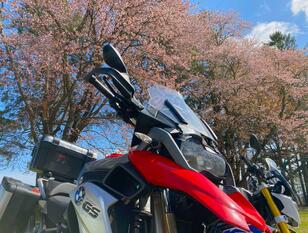 ゴールデンウィークに「2回目の桜」を味わえる！  バイクで行く北の大地「春の北海道」おすすめツーリングスポット3選