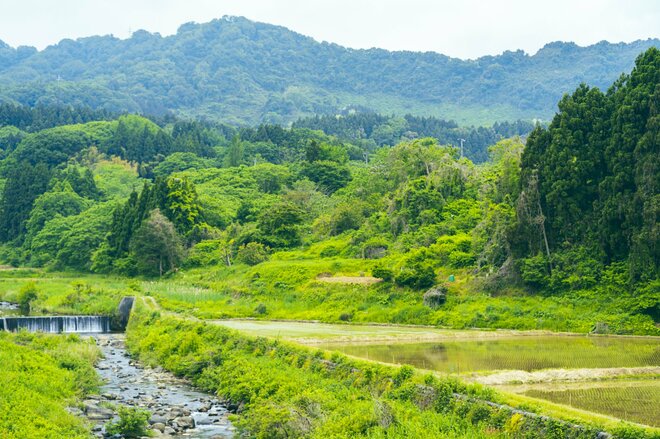 【自転車】ベストシーズン到来！「久比岐自転車道」 旧国鉄のトンネルと日本海　潮騒を感じながら “専用道” で心ほぐれるサイクリング   新潟県｜2026年の画像004