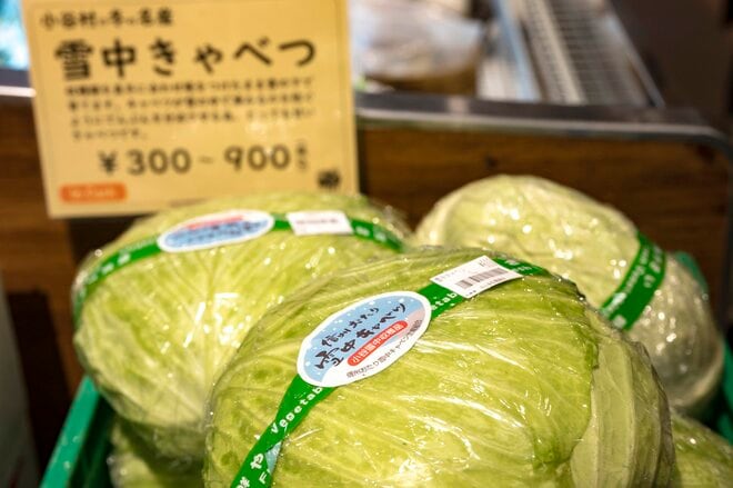 山里の懐かしい景色の中、ローカル列車「大糸線」に揺られ  ～大人気「道の駅」 老舗名湯「姫川温泉」で味わう冬の “おたり旅”～【長野県小谷村】の画像008