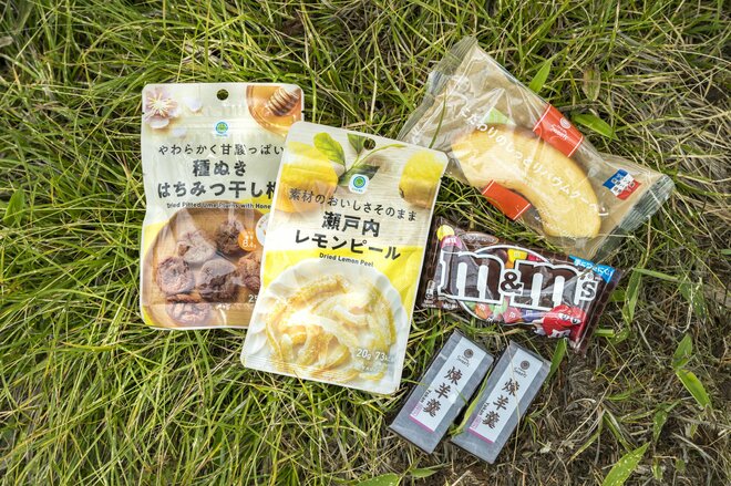 【50代から始める山登り】《第3回》ようこそ！ 素晴らしき山の世界へ。いよいよ「登山デビュー」 歩き方やマナーを学んで、安全で思い出に残る「最高の初登山」に！の画像010