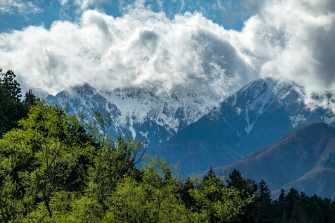 【渓流釣り】「雨後、雪解け水が多すぎて……」 釣りに行ったはずが、お花見に方向転換！  花鳥風月を楽しむ伊那谷の春　長野県｜2026年の画像003