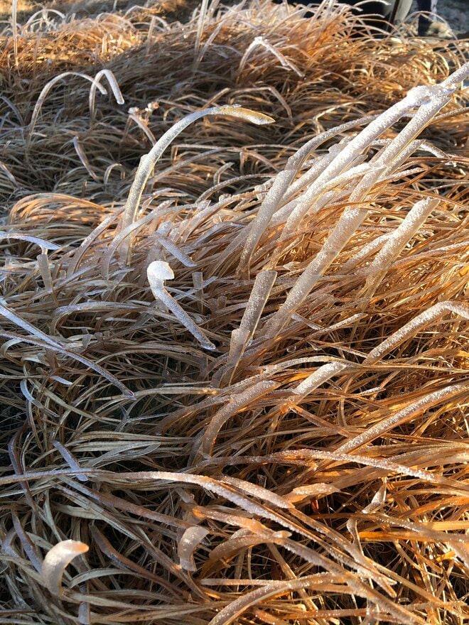 【山岳遭難しないために】秋登山に行く前のリマインド 「体感温度はすぐに氷点下！」 山梨県｜2026年の画像001