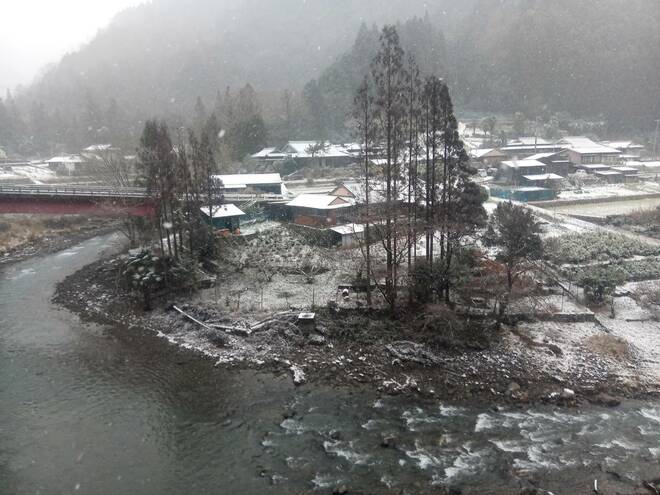 【地域おこしのカギとなれるか】世界遺産に登録されなかった “幻の熊野古道”「奥辺路」とは？【耕して、焙煎して、走る男　人口2,800人の村に移住してみました vol.12】の画像007