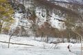 【山スキー】残雪に覆われたブナの森が芽吹きだす 「信越トレイルの名峰、鍋倉山の春を滑る」 長野県飯山市・関田山脈 2025年の画像008