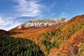 【富士山の次に登る山 vol.1】登山の魅力はムゲン大「パワーを感じる霊山」 秋田駒ヶ岳・白山・御嶽山・大山の画像012