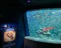 意味がわかると怖い “生き物の秘密”  池袋サンシャイン水族館 夜間特別営業「TERROR Night Aquarium」開幕（編集部レポート）の画像004