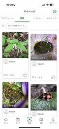 【自然観察はこれからの季節が本番】 生きもの観察にぴったりなアプリ教えますの画像002