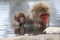 【ニッポン地獄めぐりの旅】温泉天国のこの国は“地獄”だらけ！？  全国の「地獄事情」を検証するの画像005
