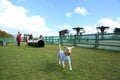 【長野県・白馬岩岳】今や白馬の必須定番スポット「HAKUBA MOUNTAIN HARBOR」、新エリア「白馬ヒトトキノモリ」がグランドオープン！  絶景キャンプ場にホーストレッキングなど遊び＆グルメがますます充実！の画像008