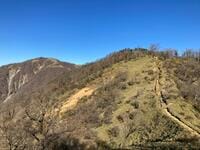 ゴールデンウィークに登りたい「春を迎える」関東の百名山3選！  静岡「天城山」 神奈川「丹沢山」 東京・埼玉・山梨「雲取山」