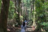 世界文化遺産登録20周年「熊野古道」記念イベントとあわせて行きたい！ 「大門坂・熊野那智大社・那智の滝」約3時間ハイキングレポ