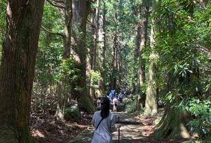 世界文化遺産登録20周年「熊野古道」記念イベントとあわせて行きたい！ 「大門坂・熊野那智大社・那智の滝」約3時間ハイキングレポ