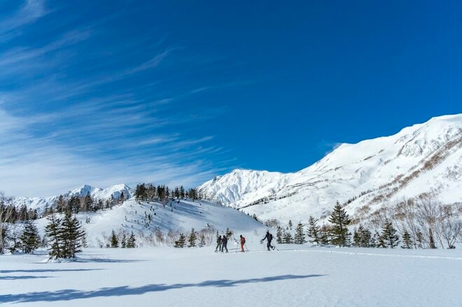  2022年「栂池ロープウェイ」早春運行開始が決定！ 「そこは標高1,800ｍ！ 雪に閉ざされた雲上の絶景へ」中部山岳国立公園・栂池高原スキー場の画像005