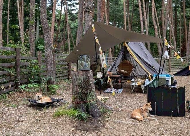 【混み具合や使い勝手は？】キャンプ場予約サイト「なっぷ」で人気のキャンプ場・山梨県北杜市「FOLKWOOD VILLAGE 八ヶ岳」へ！  10月三連休キャンプレポートの画像007