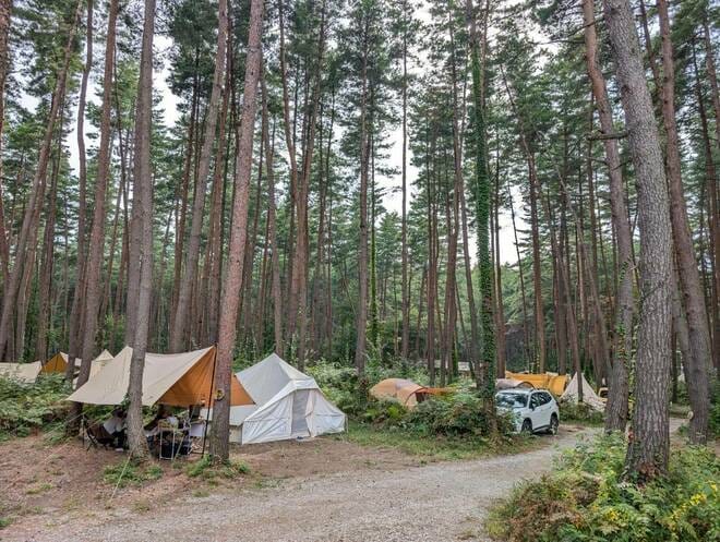 【混み具合や使い勝手は？】キャンプ場予約サイト「なっぷ」で人気のキャンプ場・山梨県北杜市「FOLKWOOD VILLAGE 八ヶ岳」へ！  10月三連休キャンプレポートの画像008
