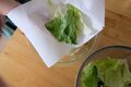 「キャンプでも野菜を摂ろう」シャキシャキのレタスが決め手！  BBQのおともに最適な＜グリーンベジサンド＞の作り方【季節の外ごはん vol.45】の画像004