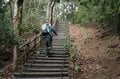 【大人気の高尾山ハイキング】混雑を回避する “静かな尾根道”「南高尾山稜」への画像008