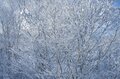 レトロなシングルリフトで霧氷を抜ける！「野尻湖」と「妙高山」 がダブルで拝める“贅沢な絶景”は、長野と新潟の名所コラボ！？【斑尾高原スキー場】の画像010