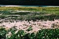 一粒で二度おいしい！ 日帰り温泉登山【癒し編】＜小蓮華山＞の画像008