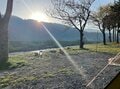 「山の湧き水」と「天然のプラネタリウム」！  大自然を体感できる「穴場スポット」！  岐阜県「小笠原苑キャンプ場」と周辺のおすすめ「温泉＆道の駅」の画像002