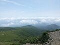 まさに高山植物の宝庫！  花の百名山「栗駒山」紅葉だけじゃない「初夏の魅力」フラワートレッキングの画像010