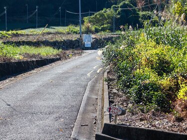 日本にもいた伝説巨人・ダイダラボッチゆらいの里山「ダイラボウ」から