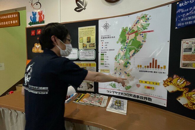2.22（にゃんにゃんにゃんの日）「野生のヤマネコが暮らす、国境の島」へ【琉球島猫百景〈特別編〉長崎県・対馬】の画像006