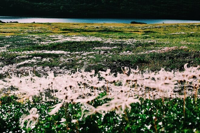 一粒で二度おいしい！ 日帰り温泉登山【癒し編】＜小蓮華山＞の画像008