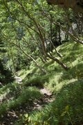 【夏山シーズンの到来！】8月半ばの「南アルプス・光岳」 最新登山情報をお知らせします【わたし、山小屋はじめます vol.76】の画像002