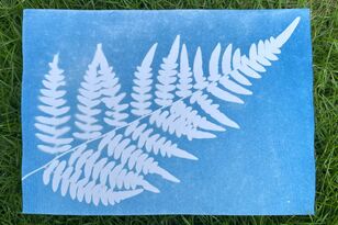 思わずハマりこむ！「残暑のギラギラ太陽とともに夏の思い出を焼き付けよう」 青の濃淡が描く究極のネイチャーフォト【日光写真のススメ】