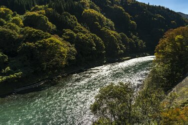犀川本流】賑わうトラウトフィッシングの聖地！ 2022年“セカンド