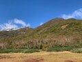 今週末の紅葉見るならどこ？  名所＆人気スポットから最新情報をお届け「WEEKLY紅葉ニュース」【2023年10月第2週】の画像004