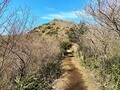 息を呑む「富士山と箱根」のパノラマ絶景！  山頂で名物「なめこ汁」が待つ「初級者向け標準コースタイム3時間」の「金時山」登山レポートの画像001