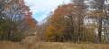 【奥多摩の秋登山】鷹ノ巣山・六ツ石山を巡る石尾根縦走ルート「紅葉と霧、時々展望」に “山深さ” 感じるロングハイキングの画像002