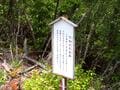 まるで竹田城！？　穴場の絶景山城「岩尾城」 野趣あふれる「天空の石垣＆曲輪」 兵庫県丹波市・蛇山「山頂レポ」の画像017