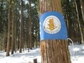 【神社とスキーと日本そば】パワースポット「長野県戸隠」は魅力だらけのオールシーズンリゾートだった！の画像005