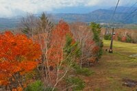 いま見頃の彩り鮮やかな空中散歩！  鬼怒川温泉と塩原温泉を結ぶ「日塩もみじライン」でめぐる紅葉のドライブ＆ハイキング【栃木県・2024年】