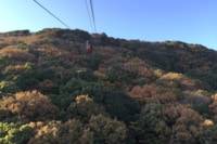 秋キャンプの落とし穴！「夜間の気温は10度も下がる」備えておきたい「徹底防寒対策」5つの方法