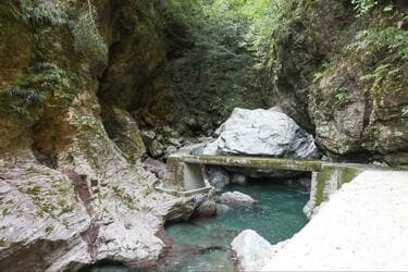 驚きの透明度！ 愛媛と高知を流れる仁淀川の中津渓谷・安居渓谷で