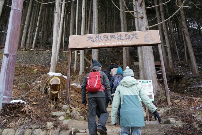【志賀高原マウンテンリゾート特集・第7回】春スキーの聖地！ まだまだシーズンは終わらない「日本一標高が高いスキー場」がもたらすロングシーズンの画像003