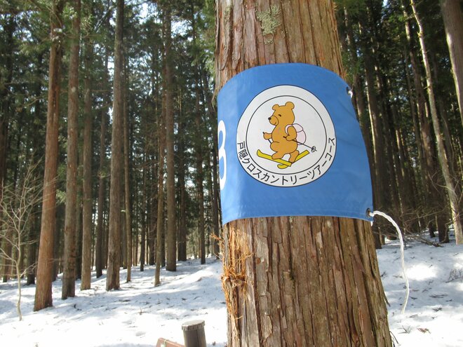 【神社とスキーと日本そば】パワースポット「長野県戸隠」は魅力だらけのオールシーズンリゾートだった！の画像005