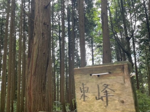 ＜紅葉前に“関西屈指”のススキの大海原もお見逃しなく！＞大阪市内から“車で小一時間で行ける”「岩湧山」ハイキングルート【里山アドベンチャー！ソトアソ日和 vol.７】の画像007