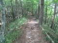 南アルプスの山の上で常夏気分！？  真っ白な砂浜が広がる「日向山」はまるで“天空のビーチ”【山梨県北杜市】の画像005