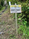 【首都圏近郊】1時間で登れるとは思えない絶景！  房総のマッターホルンこと「伊予ヶ岳」は今からのシーズンがおすすめの画像014