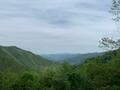 都心から2時間半でアクセスOK「三頭山」 癒しの森・圧巻の大滝・山頂からの展望！  森林浴ハイキング「現地レポ」の画像005