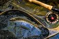 【渓流釣り】風薫る5月「ワンチャンあるか！？」 GW明けのスレた渓流魚たち   長野県白馬村・小谷村 2025年の画像007