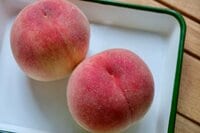 【アウトドア豆知識】「あなたが食べている”その桃”はなんて”桃”？」品種を意識して選ぶのが好みの味への近道です