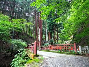 「秋こそ訪れたい神社・仏閣」地元在住20年ライターが厳選！  県外客がハマる「秘境感」アリ＆ハイキングもOK「パワースポット」3選【山梨編】