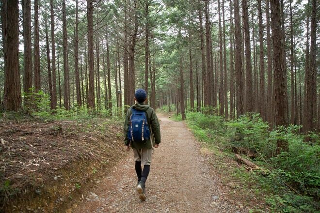 【首都圏日帰り・青梅ハイキング】2万本のツツジ咲く「塩船観音」から新緑の「霞丘陵」を縦走！  立ち寄り温泉も楽しめる、初夏の爽快コース！の画像010